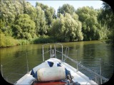 View IMG 4586